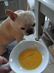 I see - now they get yellow sprinkles.