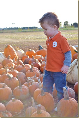 2011-10-24 049