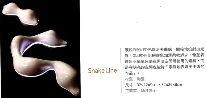 21文化共生 日本館 Snake Line