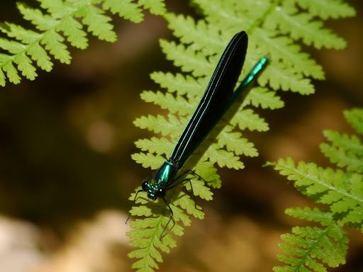 P1070855