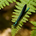 P1070855