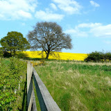 landscapes
