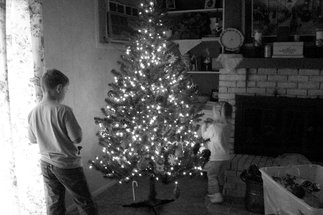 [family%2520fun%2520030%255B3%255D.jpg]