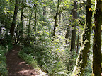 columbia_river_gorge