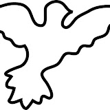 paloma9.jpg