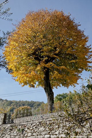 [P2PTuscany-2011-500px-0050%255B2%255D.jpg]