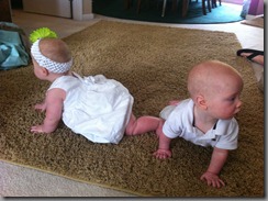 IMG_0266 IMG_0266