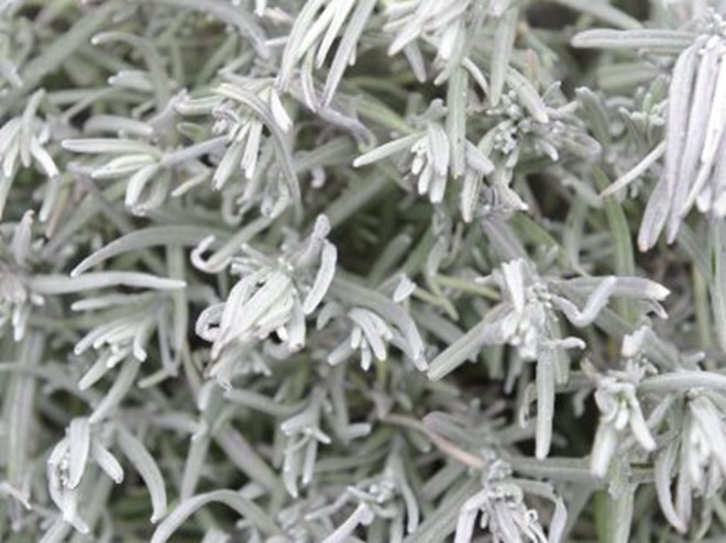 claus20130306_154138