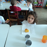 fotos diversas 189.jpg