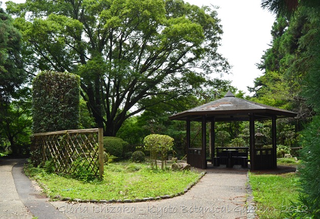 Glória Ishizaka -   Kyoto Botanical Garden 2012 - 79
