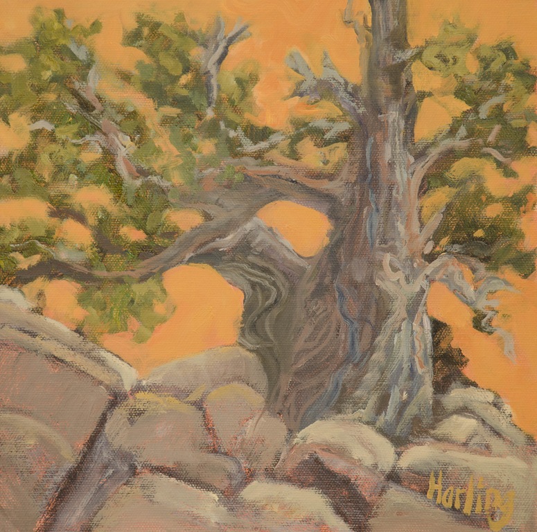 [untitled-6%255B4%255D.jpg]