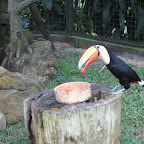 IMG_0559.JPG