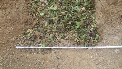 2014-06-08 11.13.21.jpg