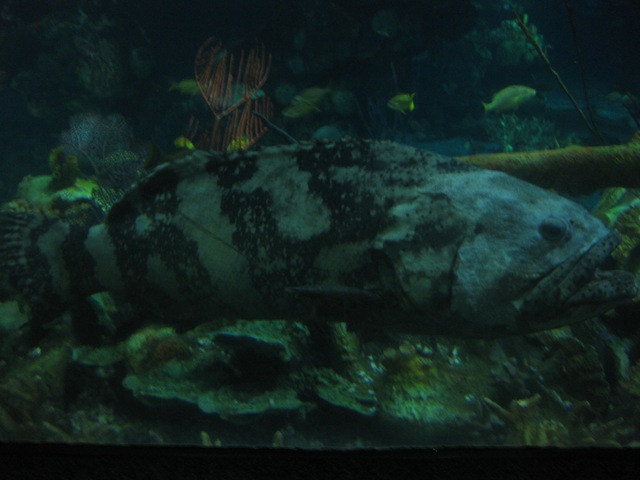 [IMG_39782.jpg]