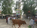 IMG_6771.JPG