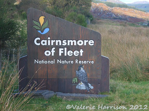 [1-Cairnsmore-sign%255B2%255D.jpg]