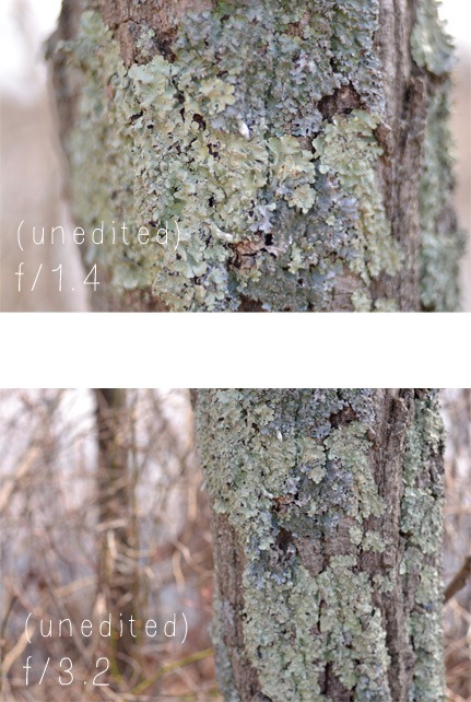 [Untitled-3%255B4%255D.jpg]