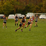 _DS45084.JPG