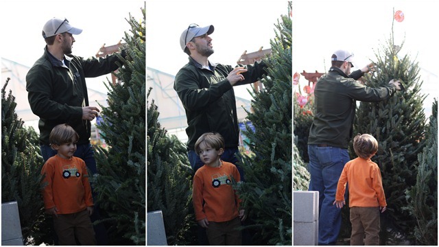 Nov Dec 20121 Nov Dec 20121