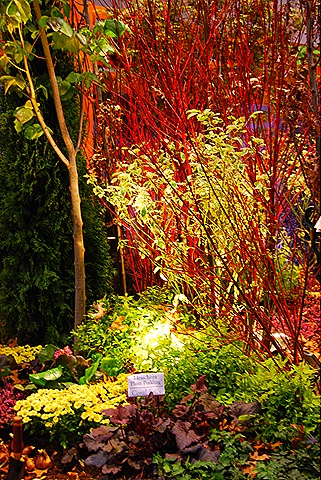 [DSC_0602%255B17%255D.jpg]