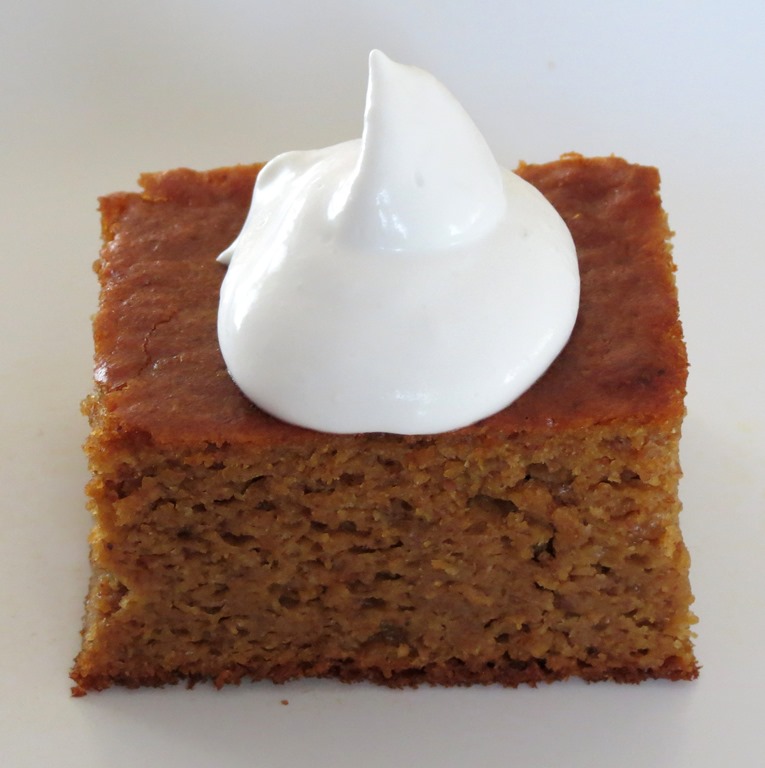 [Grain-Free-Pumpkin-Gingerbread-Cake-%255B1%255D.jpg]