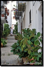 Pe&ntilde;iscola (42)