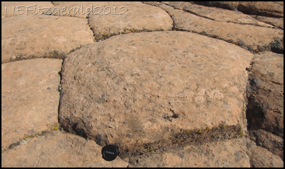 IMG_0700Sandstone Polygons