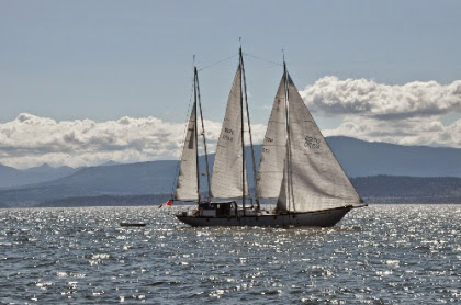 DSC_0334_2.jpg DSC 0334 2