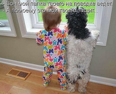 [ed5d11adf63a50f151fcc52f93c_prev%255B4%255D.jpg]