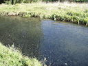 PA100269.JPG