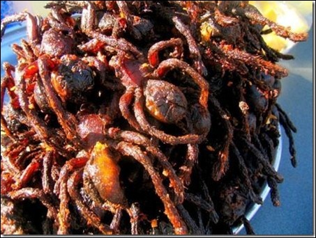 aranhas fritas cambodja
