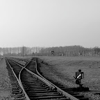 20061123131324__PB232204_2.JPG