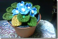 Crochet African Violets 2