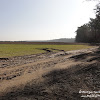 dsc06764.jpg