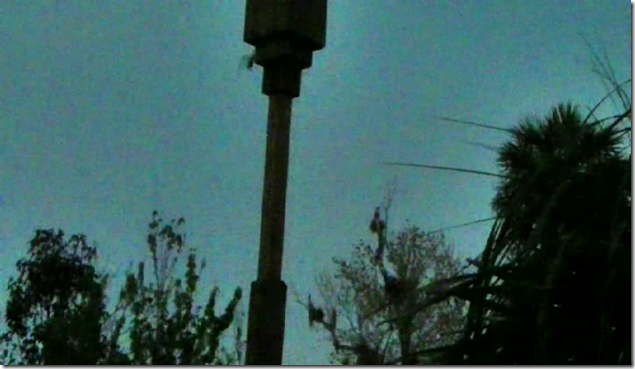 snapshot_002s snapshot_002s