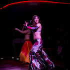 Document Name_3_209.JPG