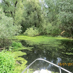 IMG_3449.JPG