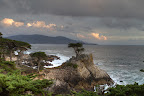 Lone Cypress.jpg