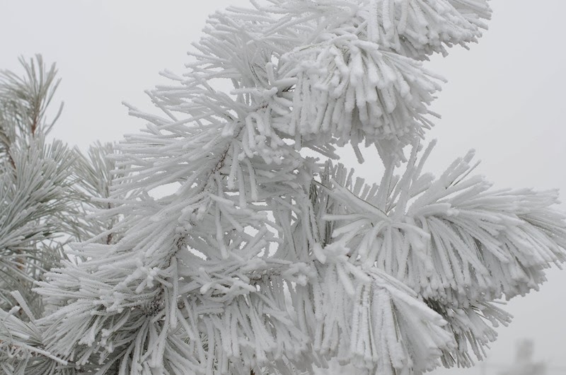 [December%2520Fun-38%255B15%255D.jpg]