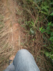 2011-11-20 13.29.50.jpg