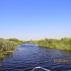 IMG_5694.JPG