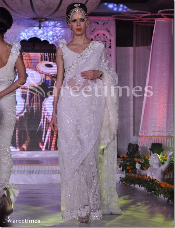 Rohhit_Verma_Embroidery_Sari
