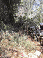IMG_1484-MOTION.gif Photo IMG_1484-MOTION.gif Photo