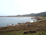 2006-03-20 004.JPG