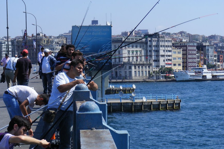 DSCF8333.JPG