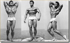 Steve Reeves