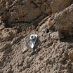 DSC_4357.JPG