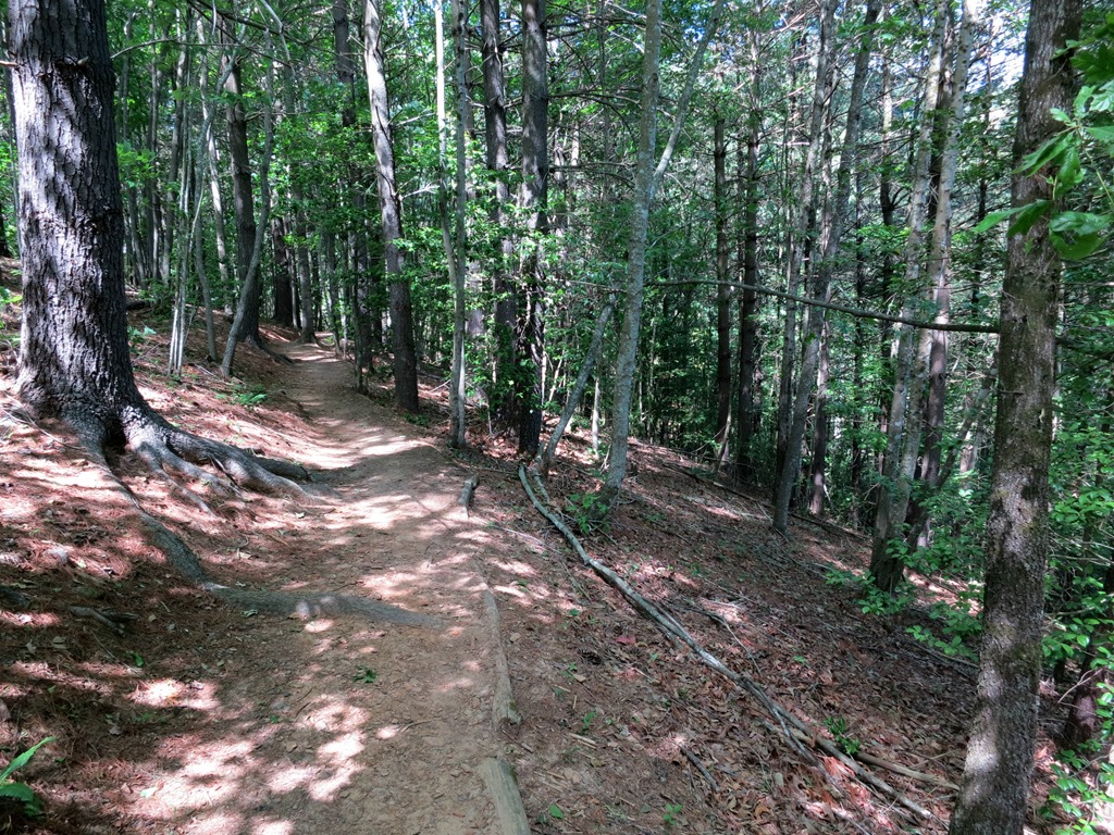 [TrailIMG_3987%255B4%255D.jpg]