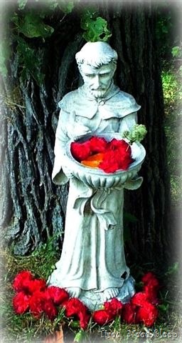 [st.francis2.jpg]