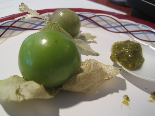 Tomatillos with their papery husks and a little salsa on the side.